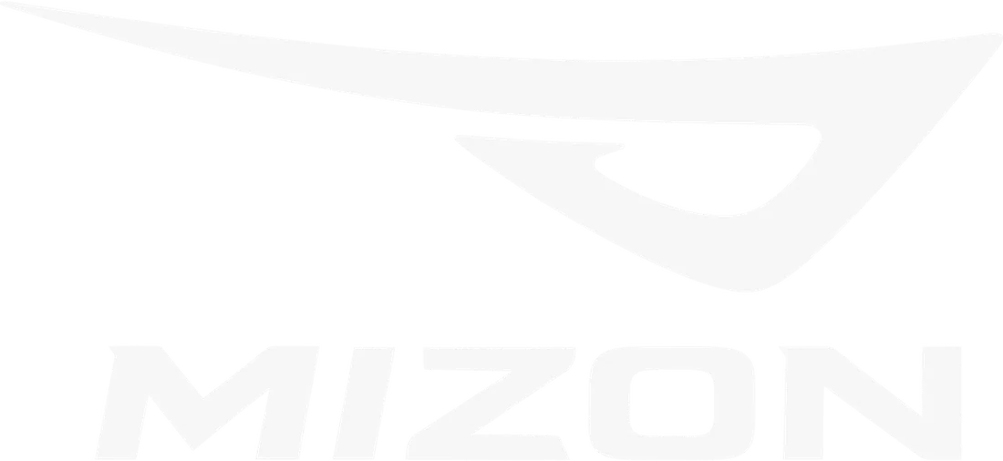 Mizon